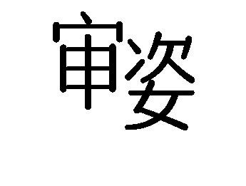 审姿