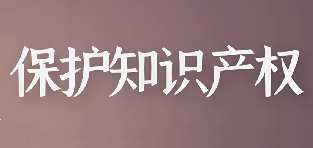 2025年知识产权行政保护工作方案