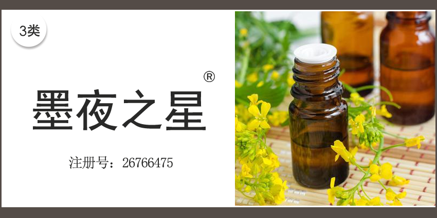 03类化妆日用