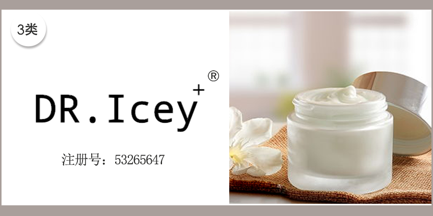 DR.ICEY+