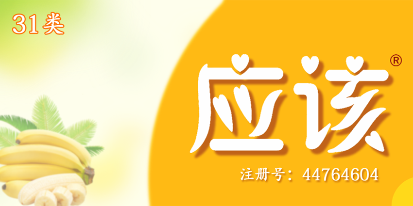 31类饲料种子