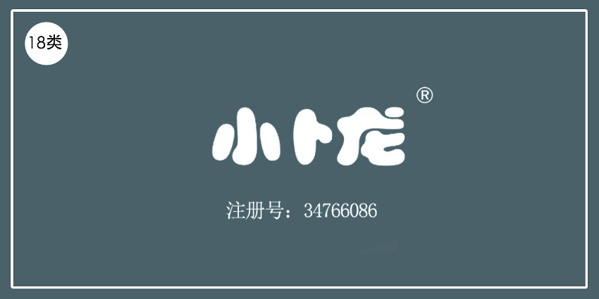 18类皮革皮具