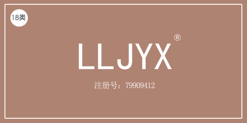 18类皮革皮具