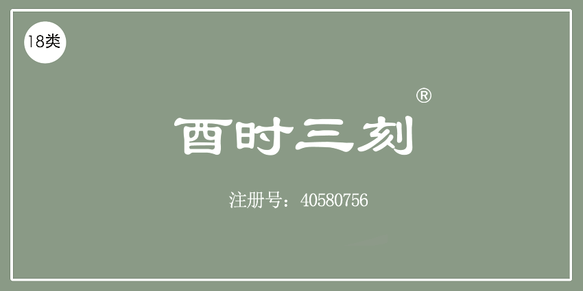 18类皮革皮具