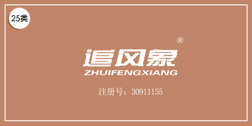 追风象