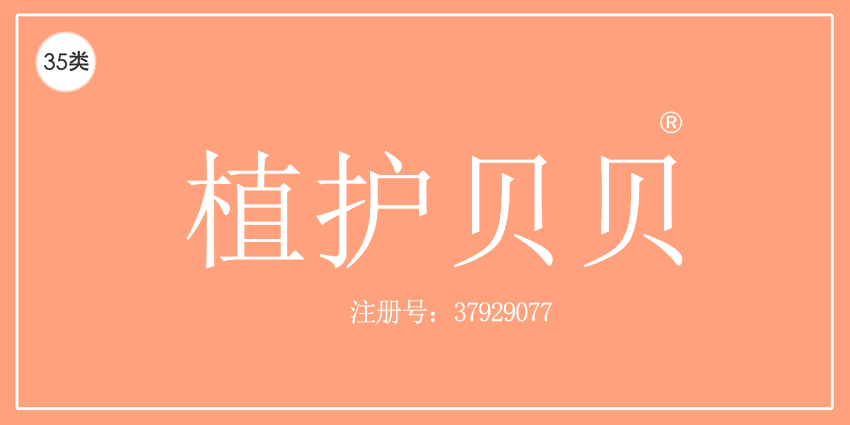 35类广告销售